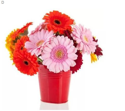 1573975107472806.jpg 04.jpg