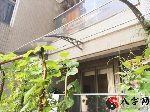 梦见马路边晾衣服