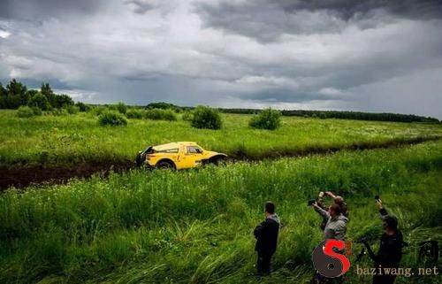 梦见山上长很多高草